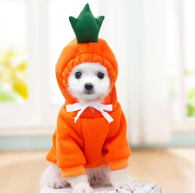 The Whimsy Hoodie