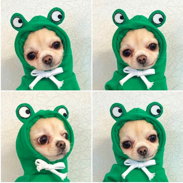 The Whimsy Hoodie