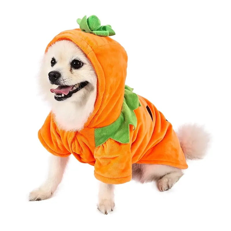The Pumpkin Paw Hoodie