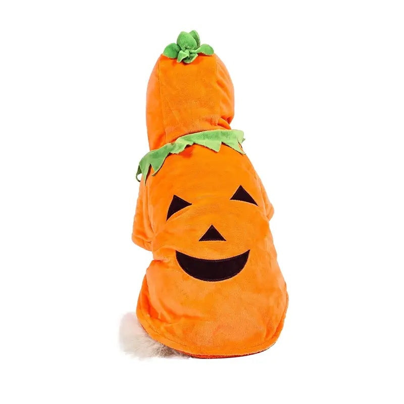 The Pumpkin Paw Hoodie