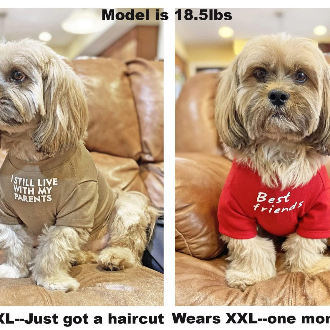 The Statement Graphic Tee