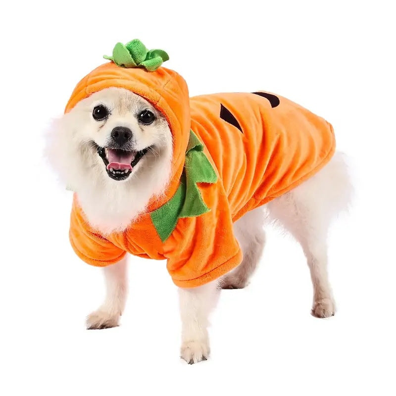 The Pumpkin Paw Hoodie