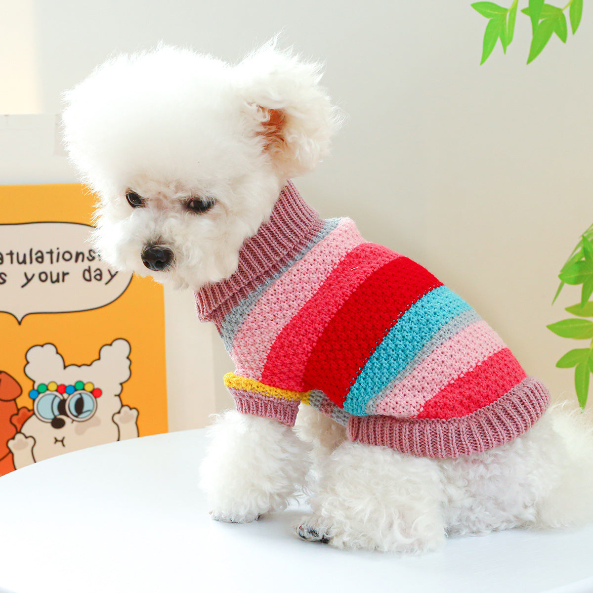 The Rue Sweater