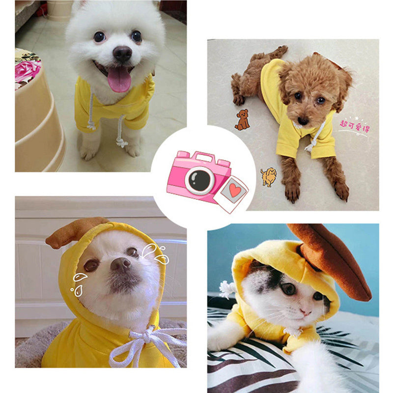 The Whimsy Hoodie