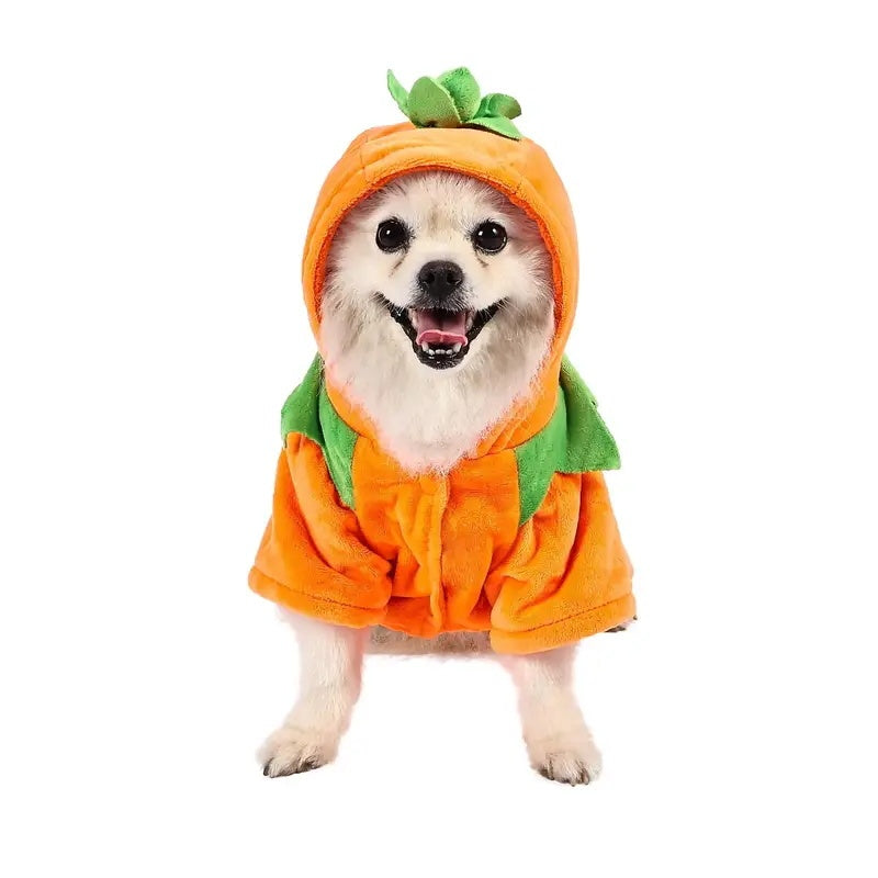 The Pumpkin Paw Hoodie