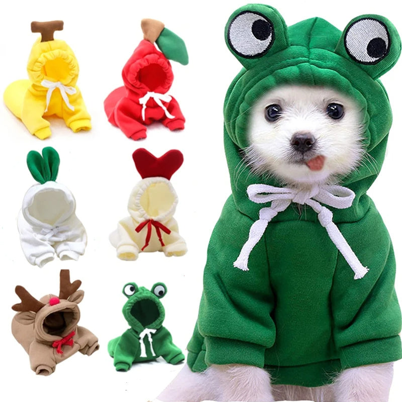 The Whimsy Hoodie