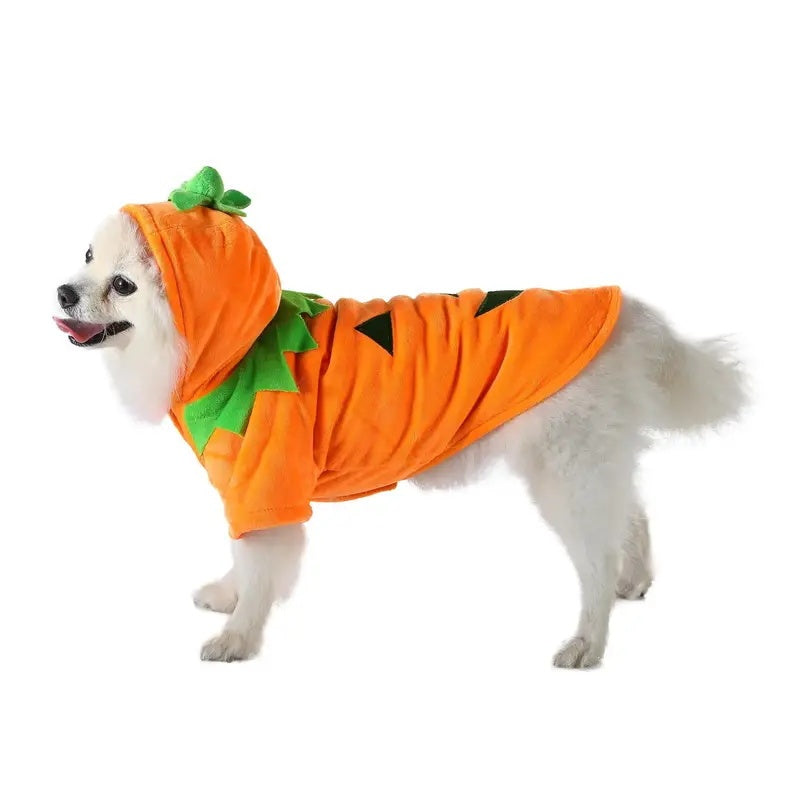 The Pumpkin Paw Hoodie