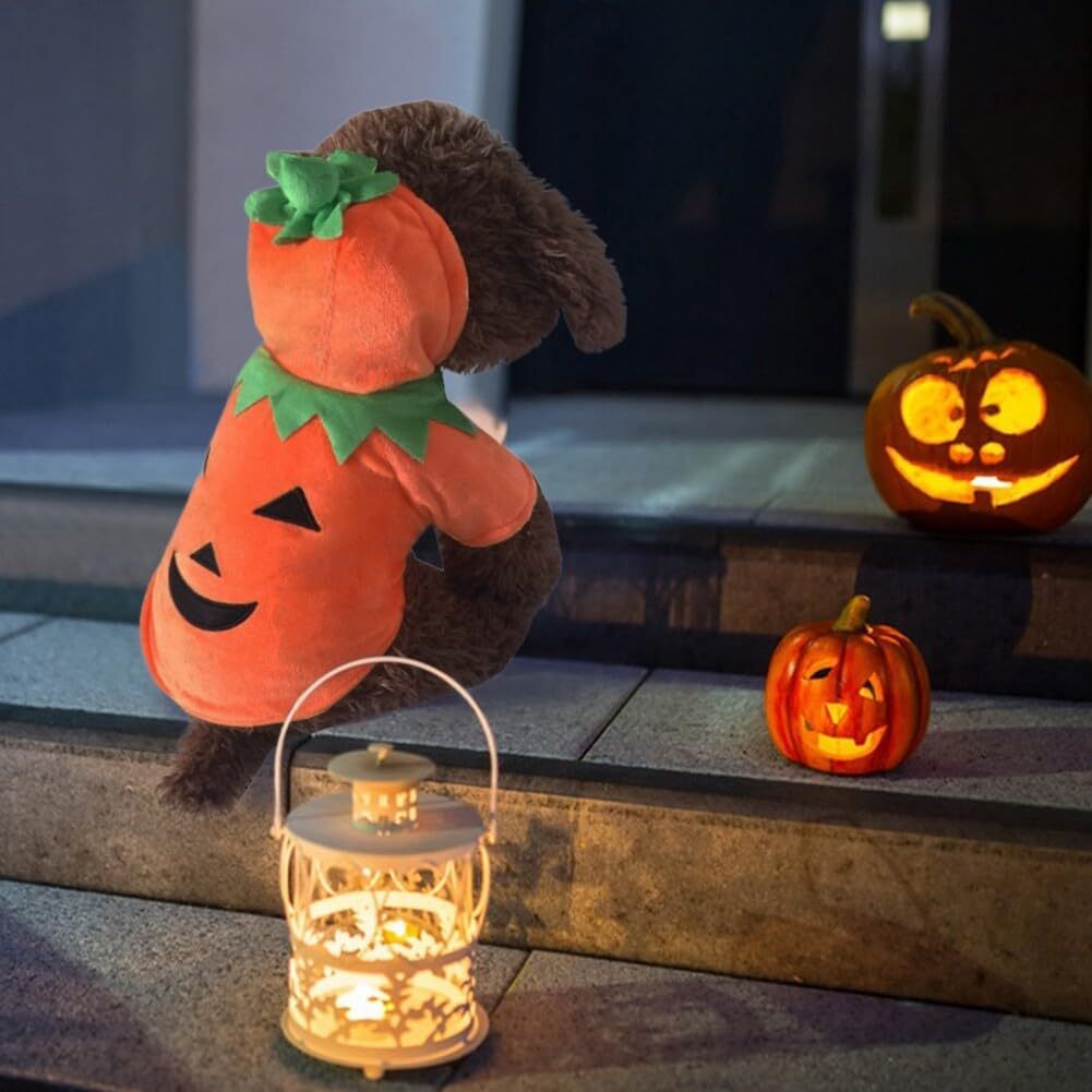 The Pumpkin Paw Hoodie