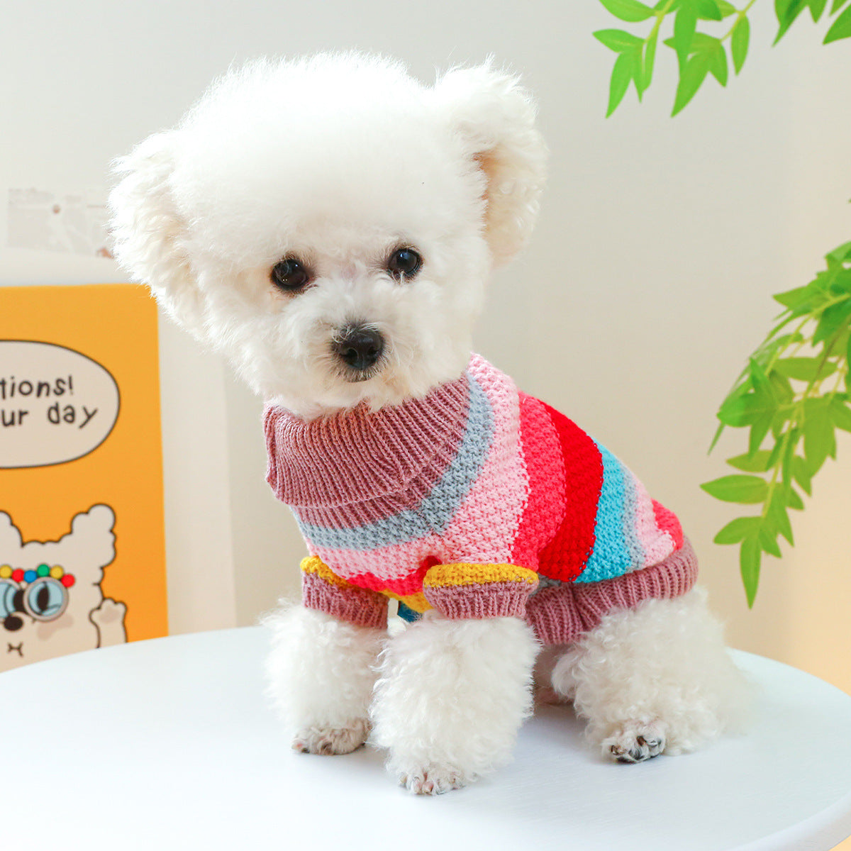 The Rue Sweater